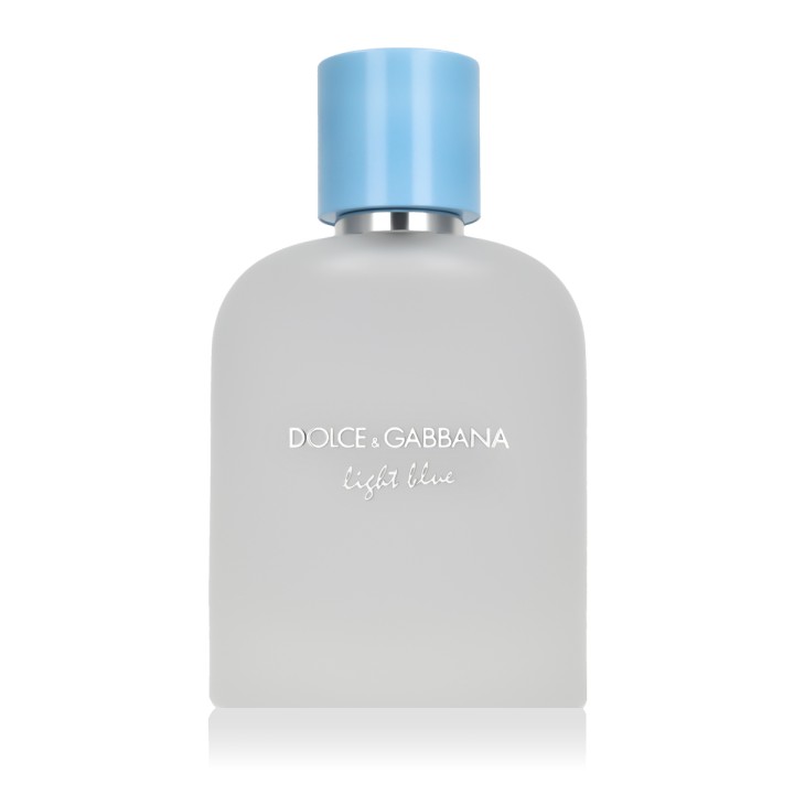 Dolce & Gabbana Light Blue pour Homme Eau De Toilette 100 ml (hombre)