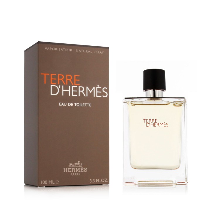 Hermès Terre D'Hermès Eau De Toilette 100 ml (herren)