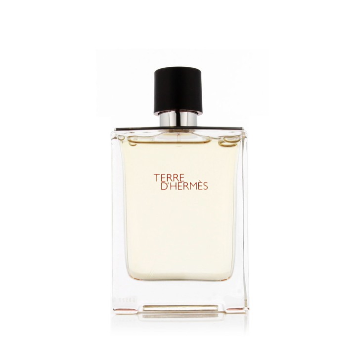 Hermès Terre D'Hermès Eau De Toilette 100 ml (heren)