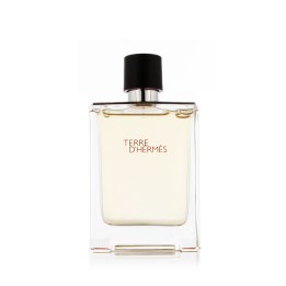 Hermès Terre D'Hermès Eau De Toilette - tester 100 ml (herren)
