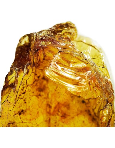 Davidoff Cool Water Intense Eau De Parfum 125 ml (uomo)