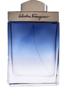 Salvatore Ferragamo Subtil pour Homme Eau De Toilette 100 ml (uomo) 2