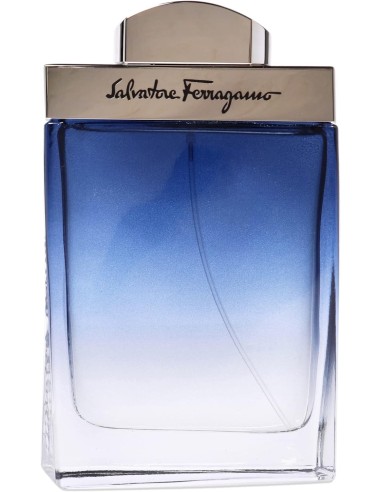 Salvatore Ferragamo Subtil pour Homme Eau De Toilette 100 ml (uomo)