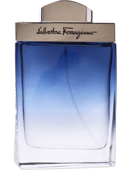 Salvatore Ferragamo Subtil pour Homme Eau De Toilette 100 ml (man)
