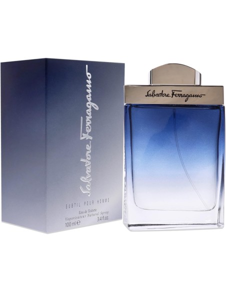 Salvatore Ferragamo Subtil pour Homme Eau De Toilette 100 ml (herren)