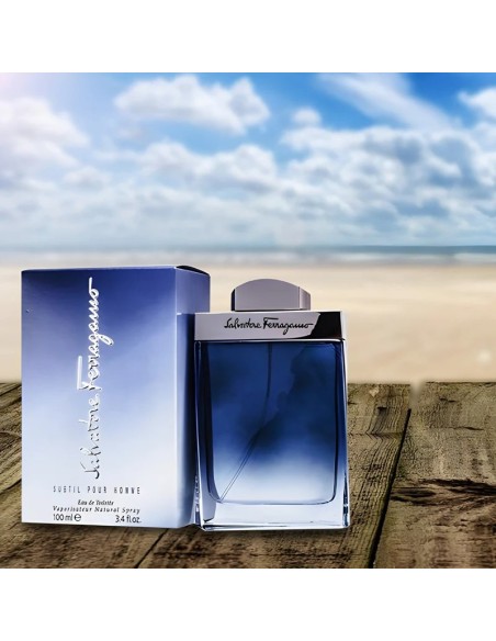 Salvatore Ferragamo Subtil pour Homme Eau De Toilette 100 ml (hombre)