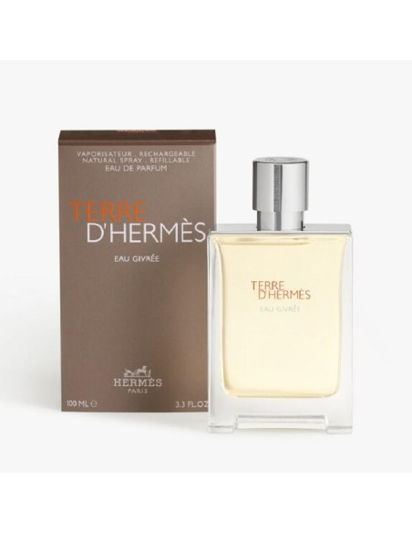 Hermès Terre D\'Hermès Eau Givrée Eau De Parfum Refillable 100 ml (homme)