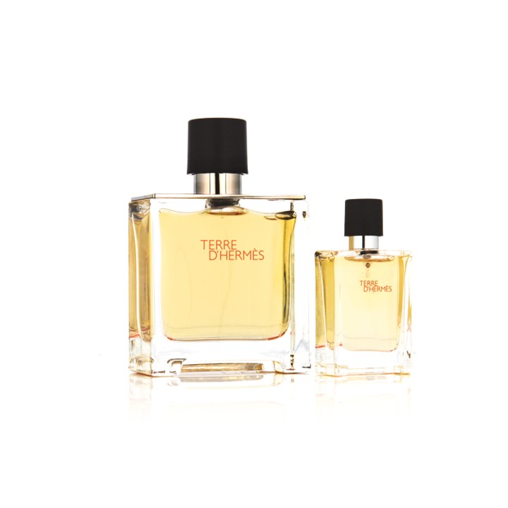 Hermès Terre D'Hermès Parfum 75 ml + Parfum MINI 12.5 ml (herren)