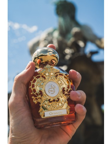 Tiziana Terenzi Lyncis Extrait de parfum 100 ml (unisex)