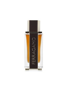 Ferragamo Ferragamo Spicy Leather Eau De Parfum 100 ml (man)