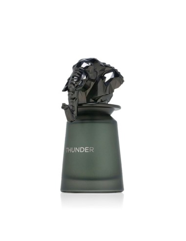 French Avenue Thunder Eau De Parfum 100 ml (man)