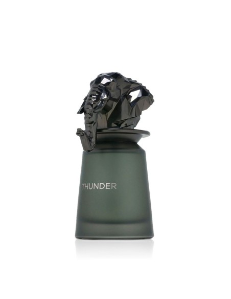 French Avenue Thunder Eau De Parfum 100 ml (man)