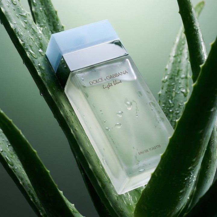 Dolce & Gabbana Light Blue Eau De Toilette 50 ml (donna)