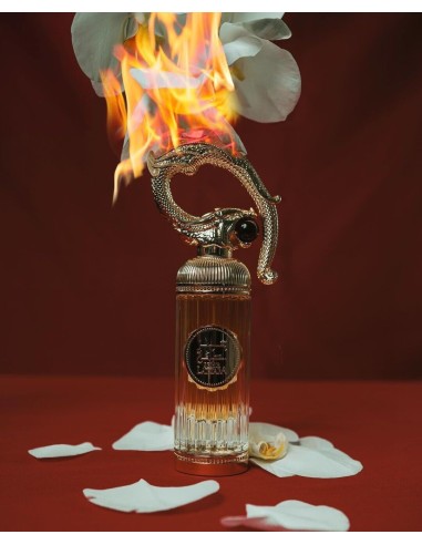 Nicolai Parfumeur Createur Patchouli Intense Eau De Parfum 100 ml (unisex)